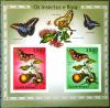 Motyle, owady, kwiaty - Gwinea Bissau czysty