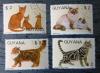 Koty - Gujana kasowane