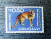 Zwierzta - Urugwaj czysty
