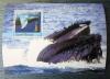 Wieloryby, latarnie morskie - Gwinea Bissau czysty