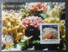 Koralowce - St. Tome czysty