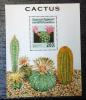 Kaktusy - Saharui czysty