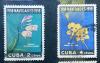 KUBA - Kwiaty kasowane zdjcie pogldowe