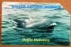 Gince gatunki morskie Delfin biaonosy - 25 impulsw zuyta stan jak na zdjciach