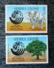 SIERRA LEONE - Zwierzta, drzewa czyste POZYCJA DOSTPNA