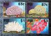 FIDI - Koralowce czyste POZYCJA DOSTPNA