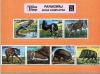 Paragwaj - Zwierzta kasowane